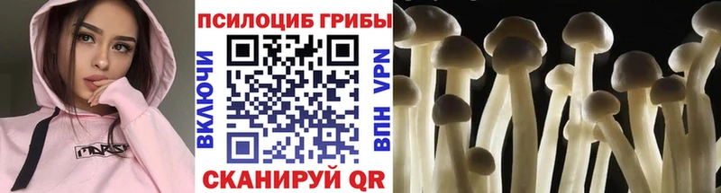 Псилоцибиновые грибы прущие грибы  Купить где  Евпатория 