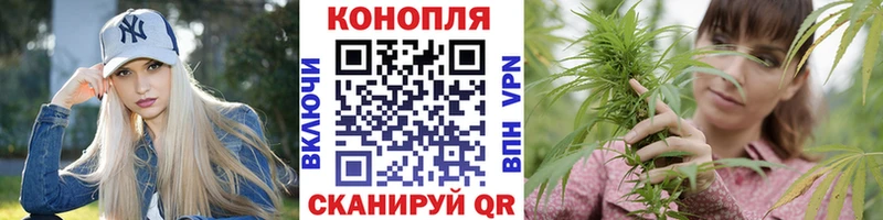 Бошки Шишки планчик  Купить закладки  Евпатория 